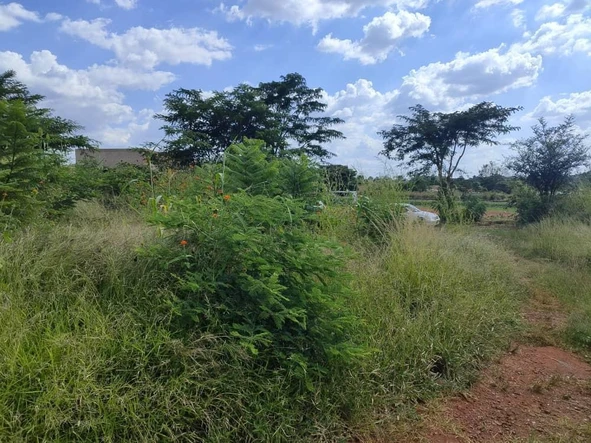 Commercial & Industrial Land