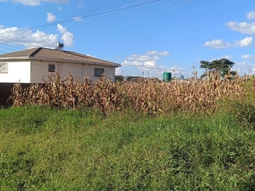 Stands & Residential Land