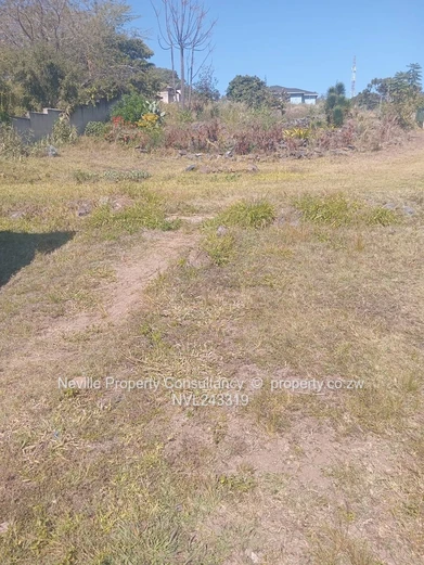 Greenside mutare (Sole Mandate)