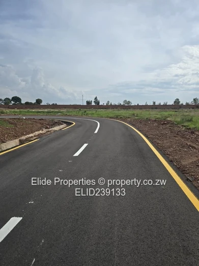 Spitzkop Phase 1 Stand For Sale (Sole Mandate)