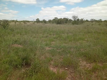 Plot For Sale