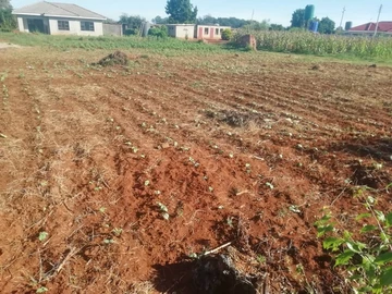 Land