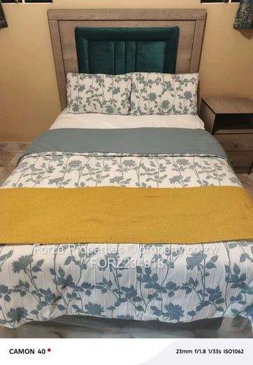 Beautiful 3-Bedroomed Flat Fully Furnised