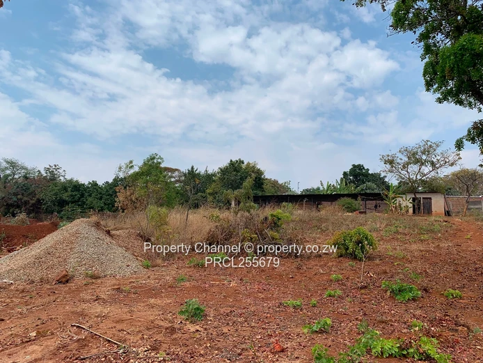 2,100m² Plot on Paved Road with Palm Trees, Hogerty Hill
