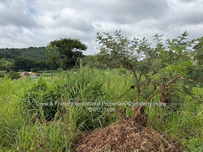 8,191m² Stand in Carrick Creagh Gated Estate for Sale $560k