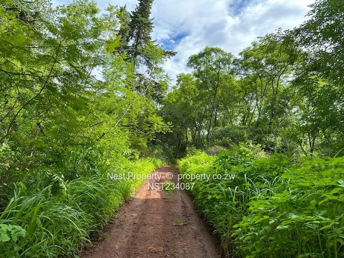 14.1 Acres of Prime Land in Helensvale@