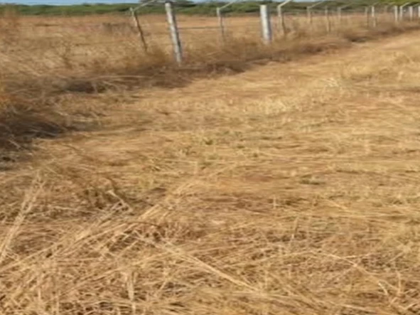 Farm & Agricultural Land