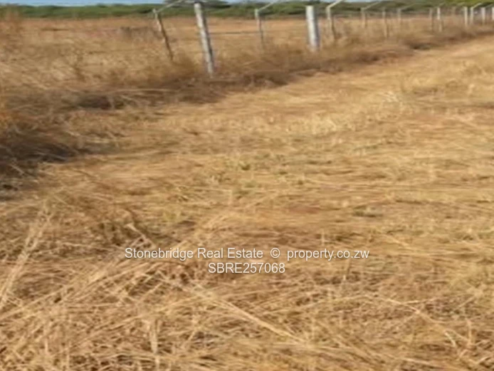 2.5 Hectare Plot in Kadoma
