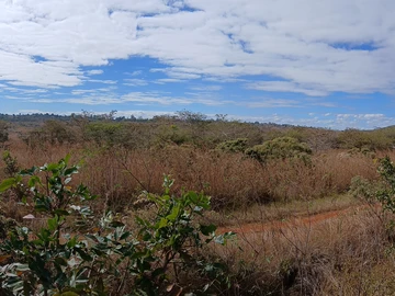 Farm & Agricultural Land
