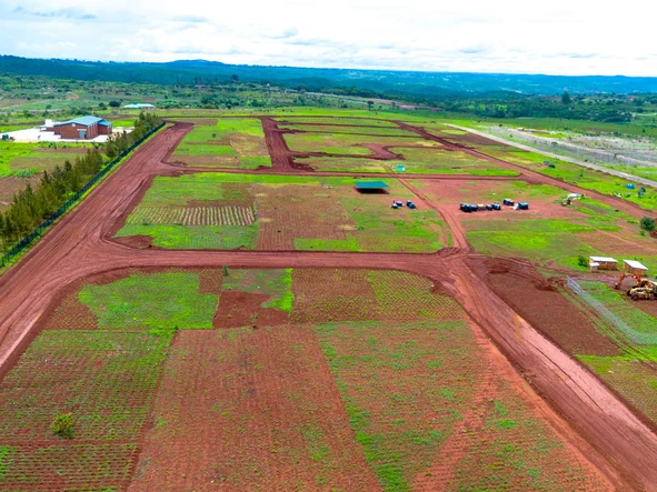 Stands & Residential Land