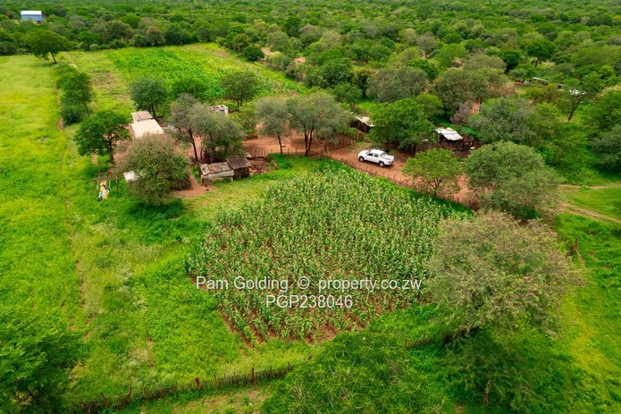 Collen Bawn Farm for Sale