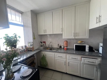 Flat & Apartment