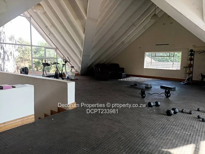 Spacious 5-Bedroom House in Alexandra Park!