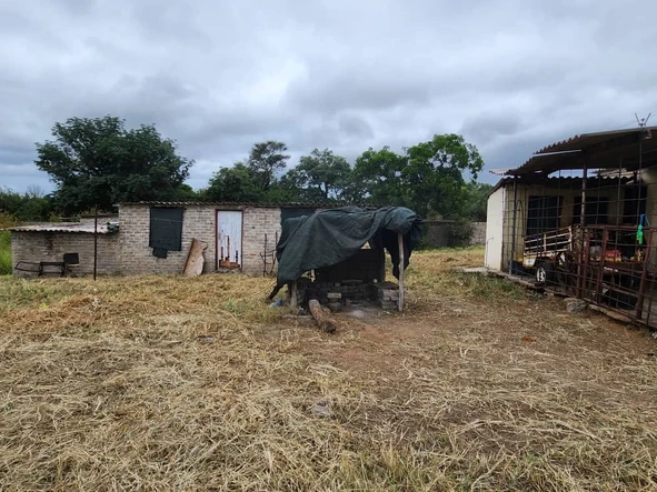 Stands & Residential Land