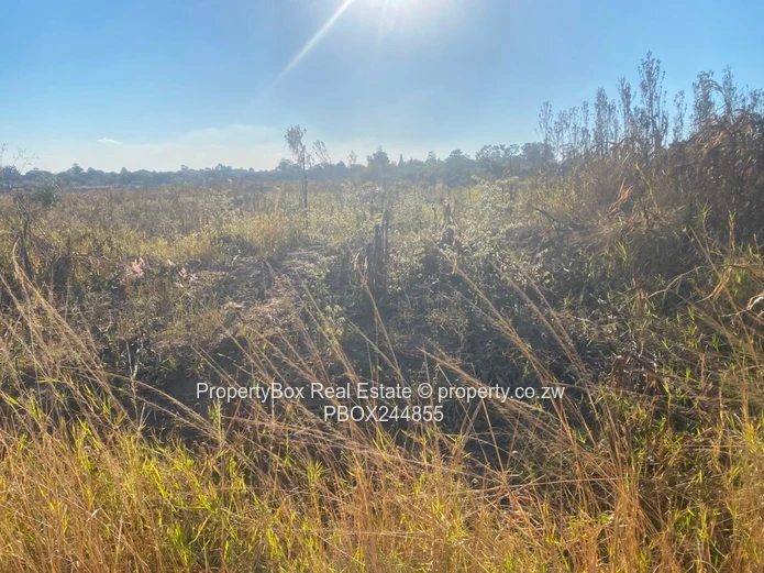Vacant Stand for Sale in Hatfield Estate