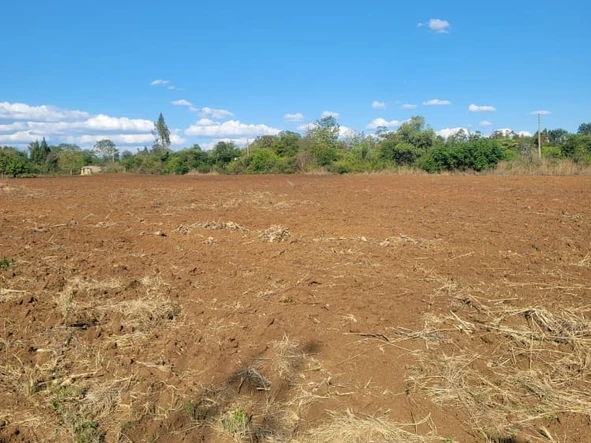Farm & Agricultural Land