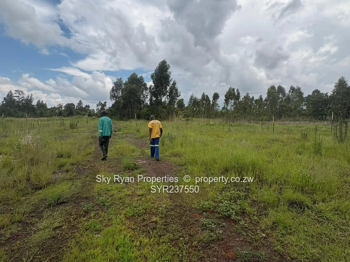 Mount Hampden Industrial stands for sale 