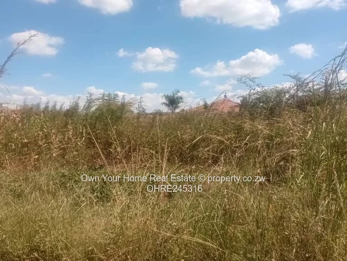 Sandton Stand For Sale 