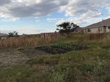 Stands & Residential Land