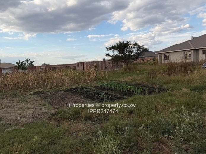 1050 sqm Stand with Incomplete Cottage for Sale in Prime Diamond Park, Sandton!