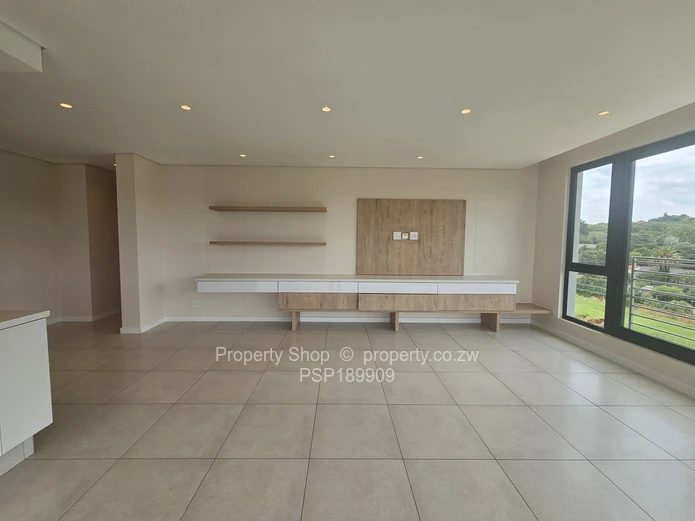 Brand new world class luxurious penthouse in Sandton. 