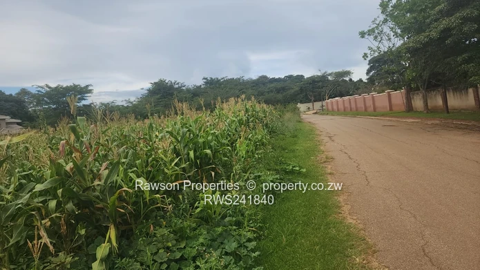 Great location at an affordable price 