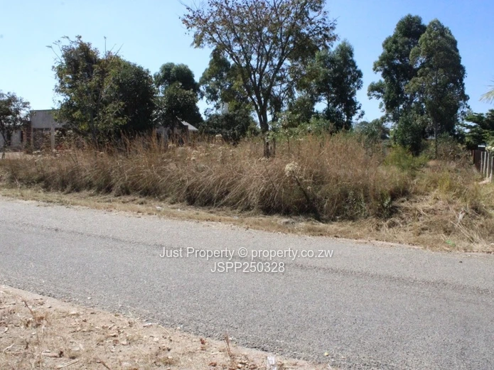 2000m² Stand on Tarred Road — Quiet, Tree-Lined Arlington