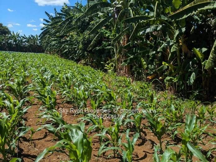 Norton Turnkey Farm For Sale