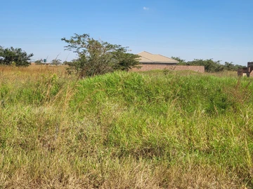Stands & Residential Land