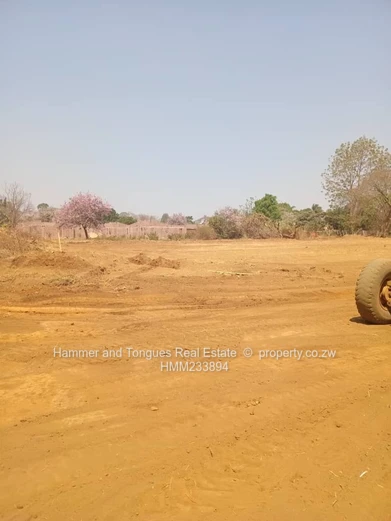 Marlborough New Cluster Stands For Sale 