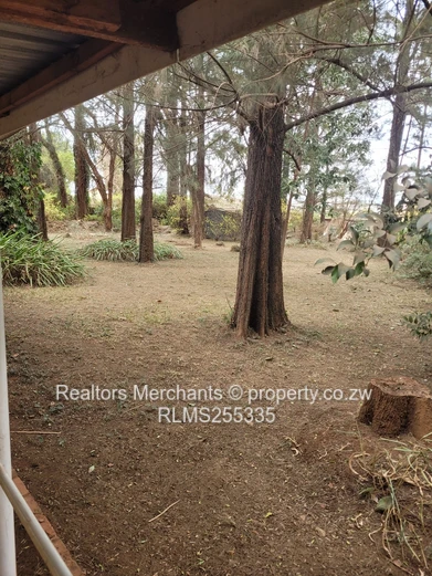 Tynwald Commercial Property For Sale
