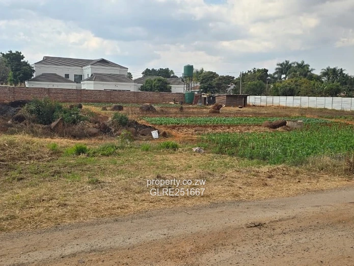 900m² Westgate Plot — Road Front, Walled Neighbours