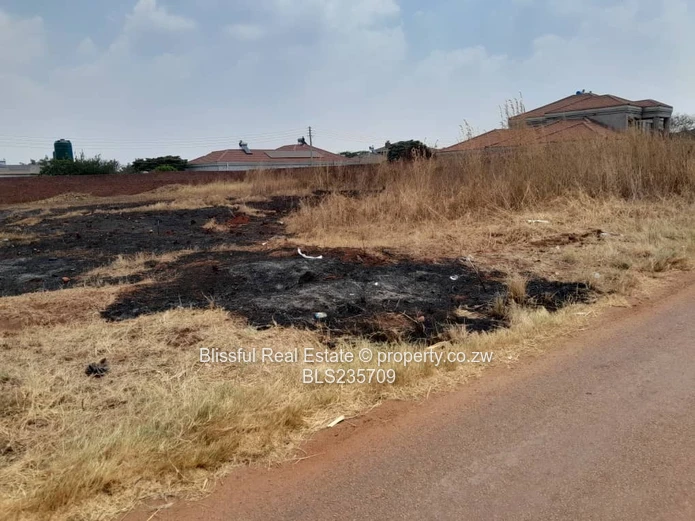 Ready to Build Stand