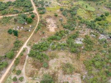 Farm & Agricultural Land