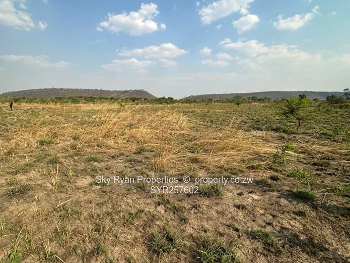 Knockmallock Estate, Norton – Agro-Residential Plots For Sale 