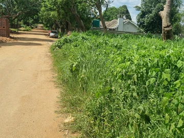 Stands & Residential Land