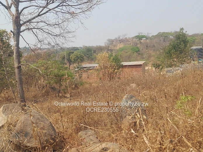 Stand for Sale – Crowhill Views 