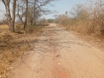 Farm & Agricultural Land