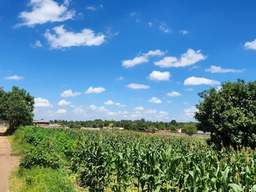 Stands & Residential Land