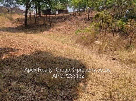 Gletwyn Stand For Sale