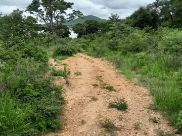 Commercial & Industrial Land