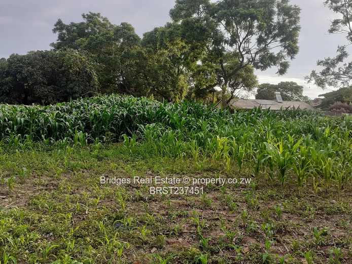 Property Development 101! The stuff of dreams!