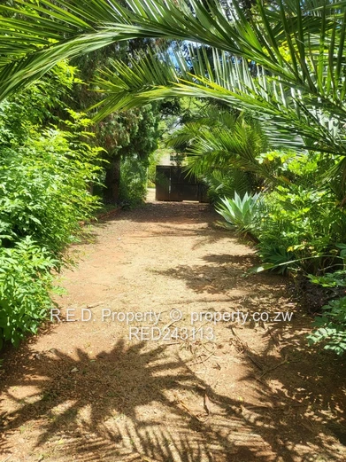 Commercial Property for Rent In Suburbs