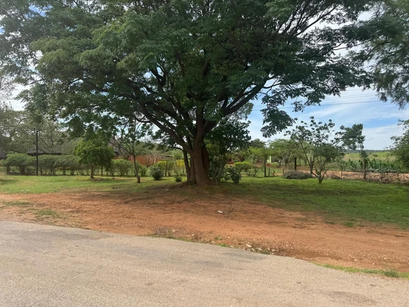 Commercial & Industrial Land