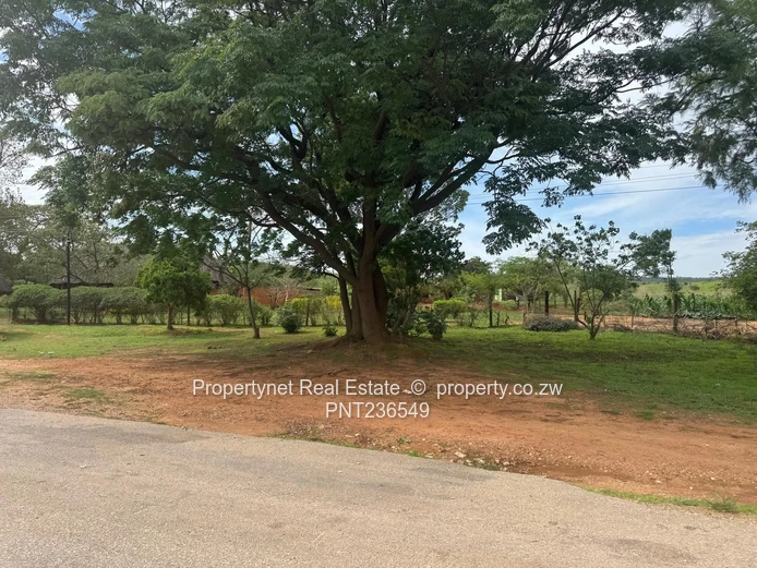 Commercial Stand for sale!!!