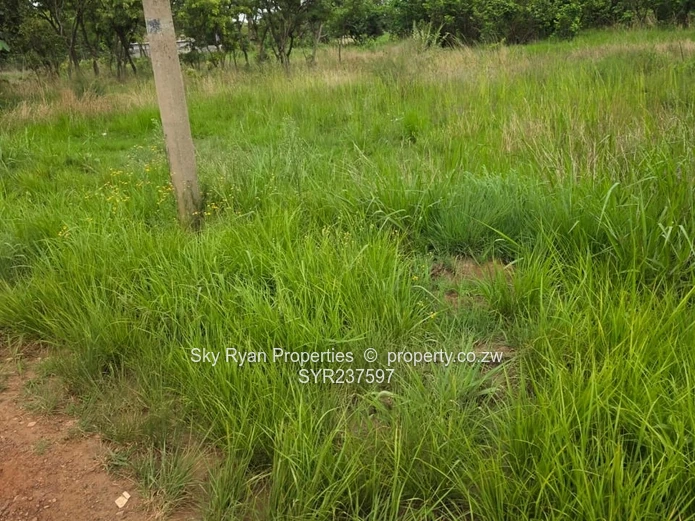 Mabelreign choice of 3 stands for sale 