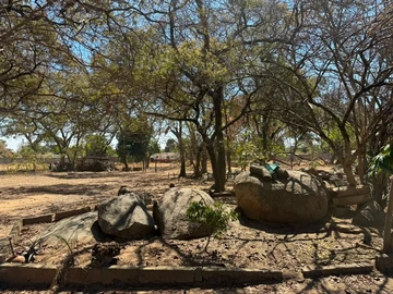 Stands & Residential Land