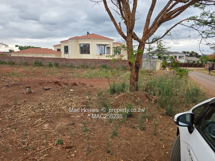 Ready to Build Stand for Sale