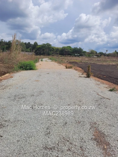 Borrowdale stand for sale - 130k (Sole Mandate)