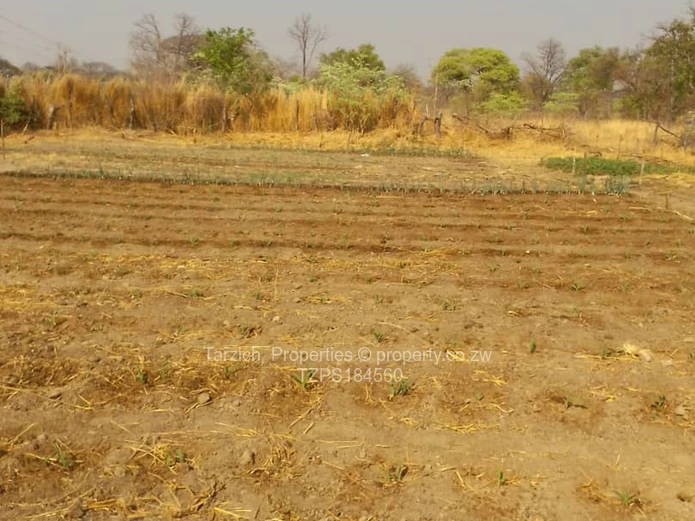 Farms & Agricultural Land for Sale in Gweru CBD TZPS184560